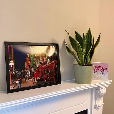 Modern & Dublin
